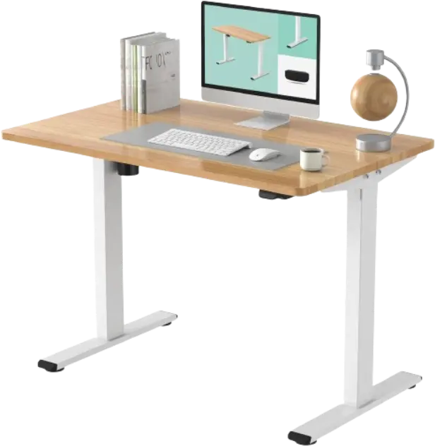 Flexispot Standing Desk